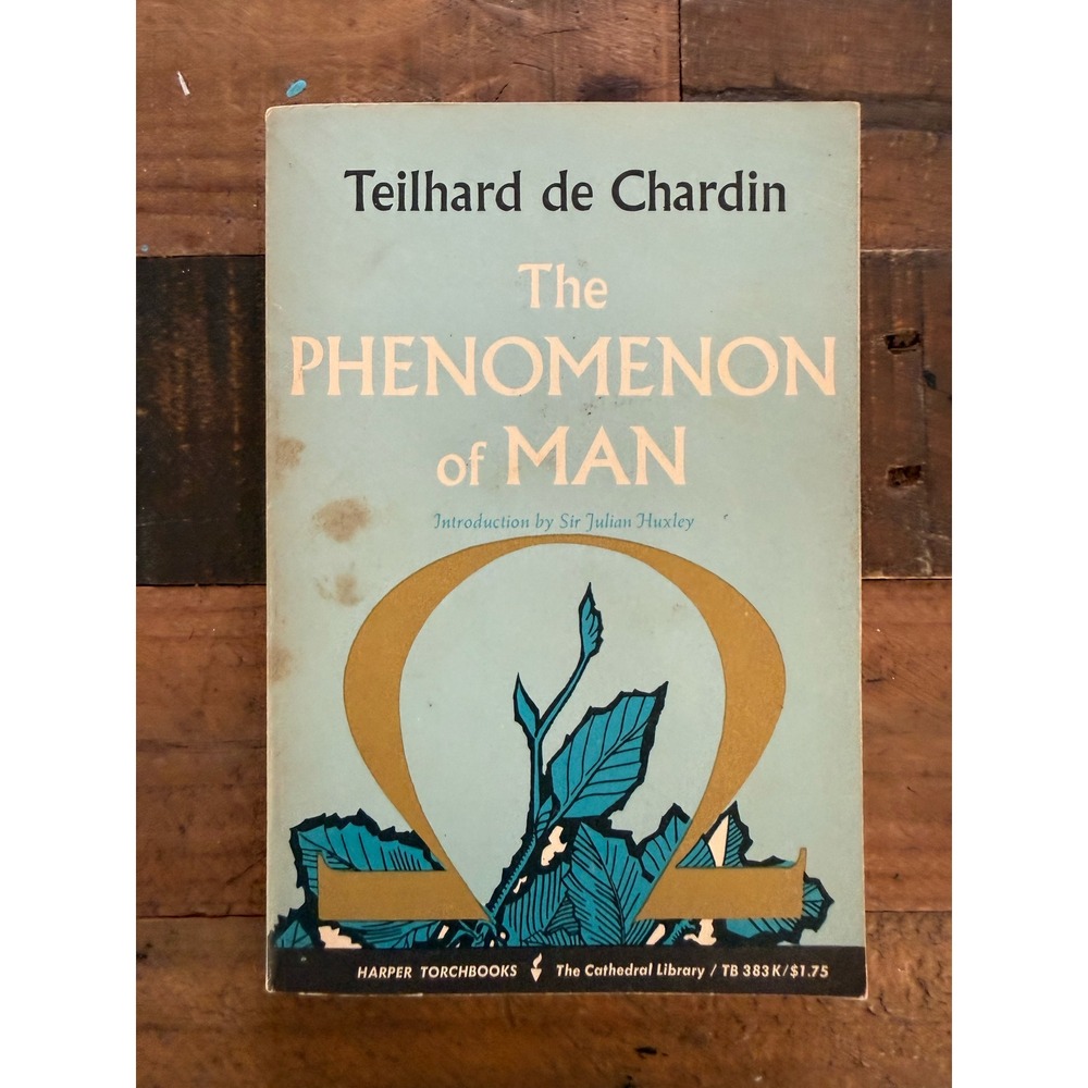 The Phenomenon of Man Teilhard de Chardin 1965 Harper Torchbook Paperback TB 383
